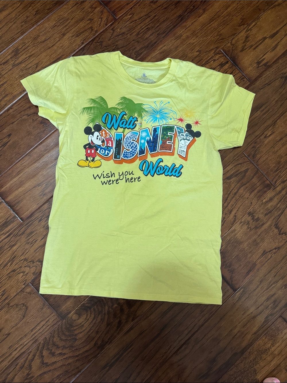 Walt Disney World tshirt
